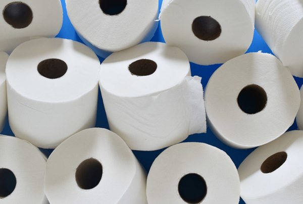 Rolls of toilet paper.